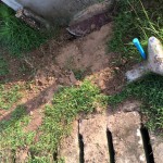 The sewer pipe connection