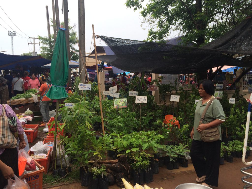 Tree market