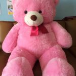 Pink bear
