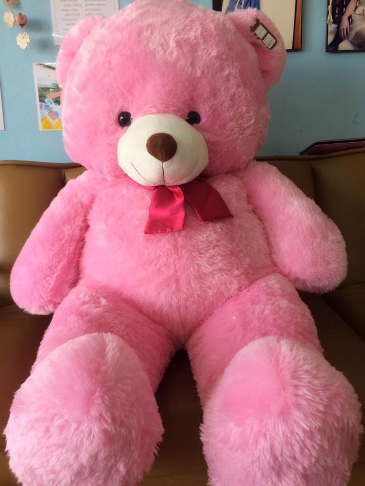 Pink bear