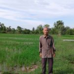 Papa on rice field