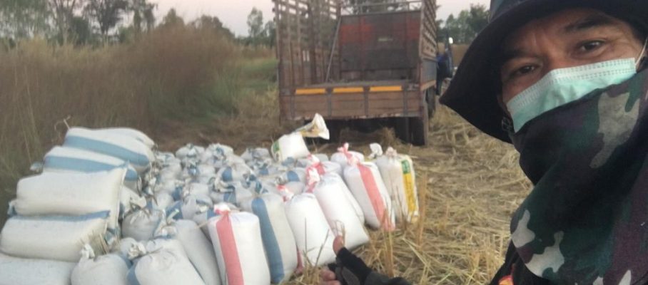 Rice in bags