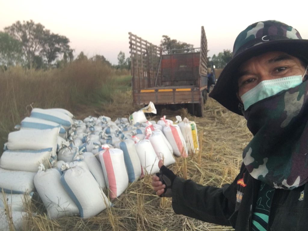 Rice in bags