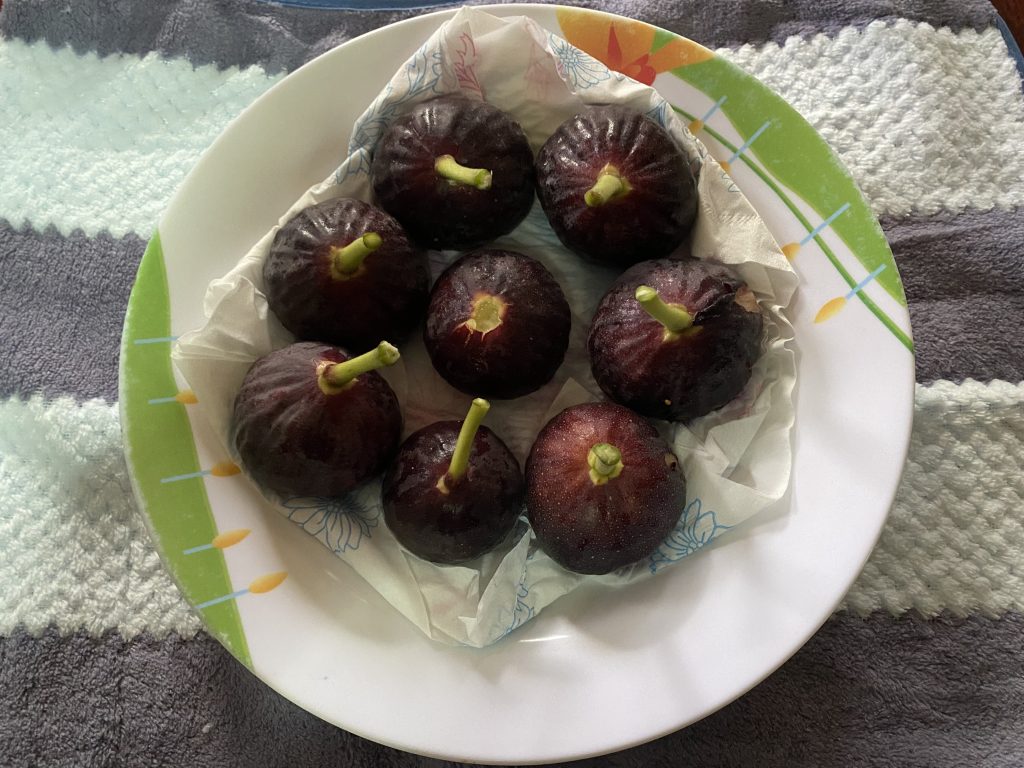 Figs from own garden