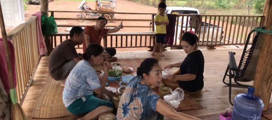Rice field lunch