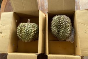 Durians from Aon