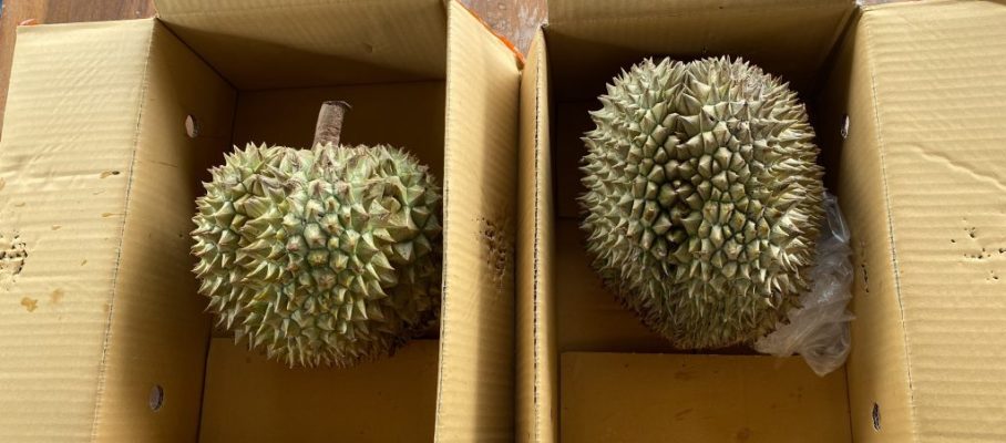 Durians from Aon