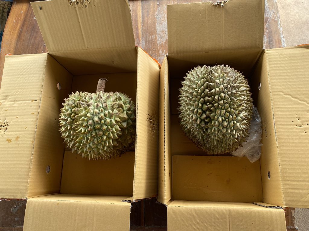 Durians from Aon