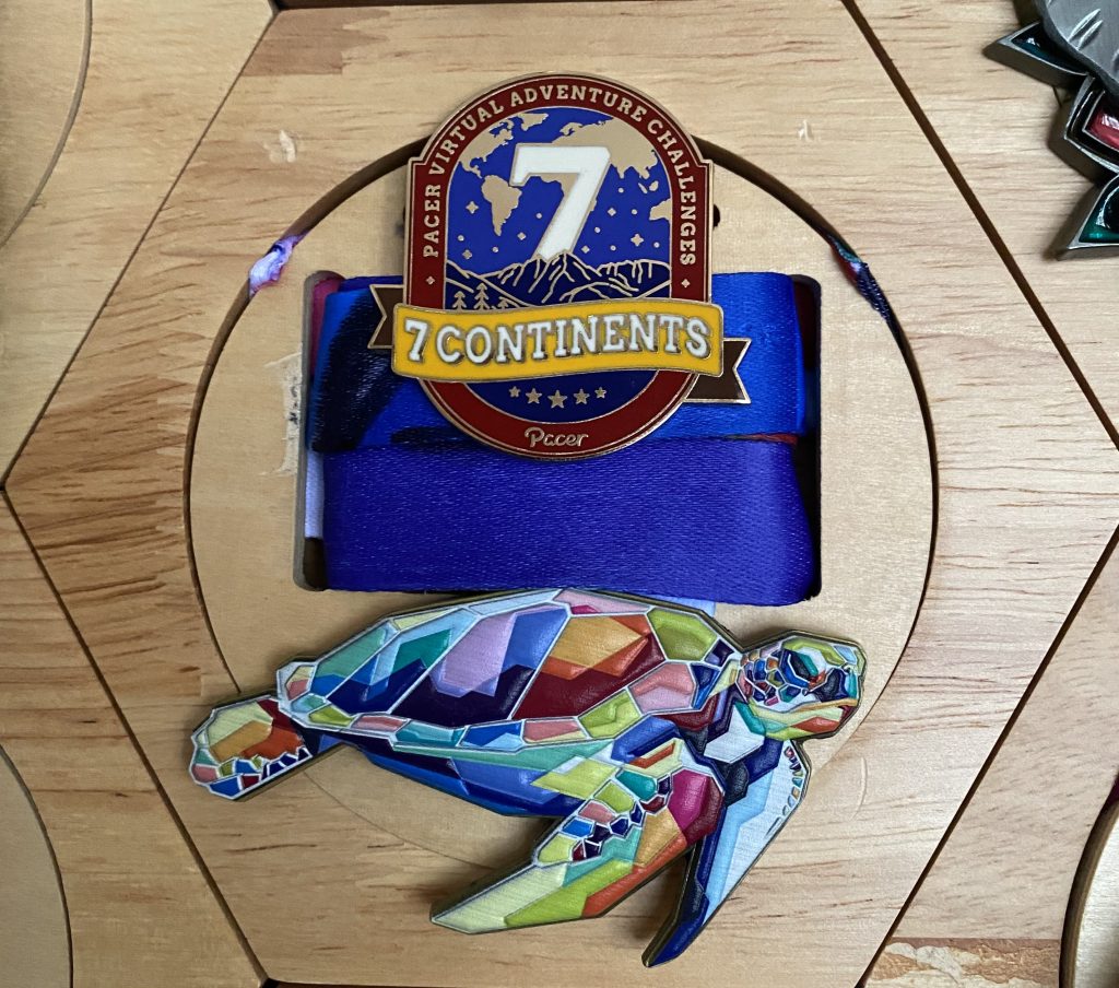 Turtle run medal