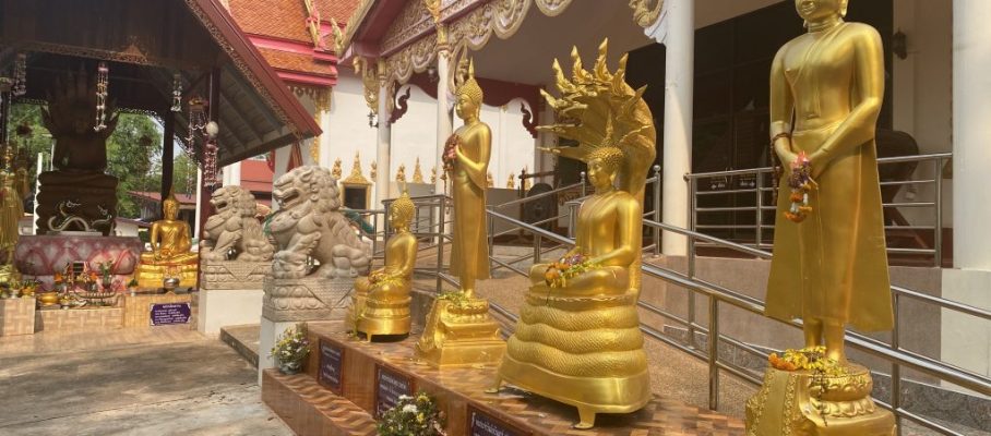 Statues (Thu Fri Sat Sun)