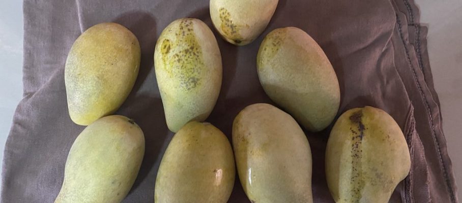 Mango's