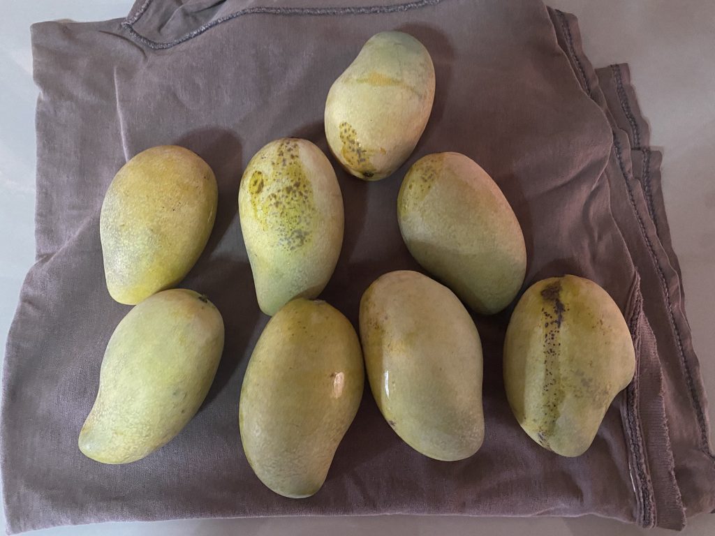Mango's