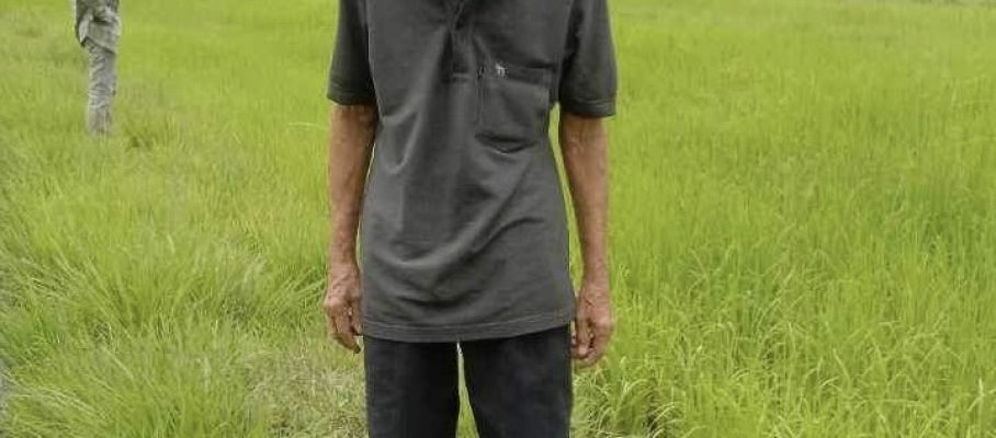Papa Siripron on rice field