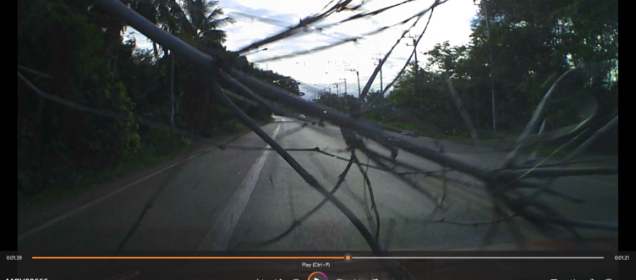 Hit overhanging bamboo
