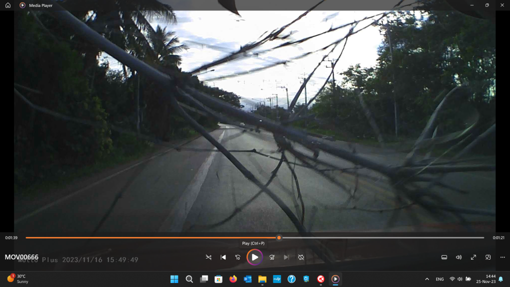 Hit overhanging bamboo