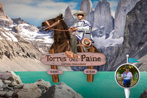 Torres del Paine