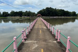 Rice fields Temple bridge