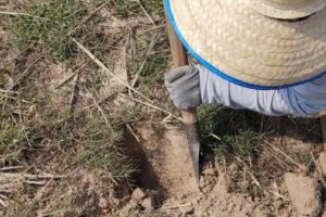 Digging for insets
